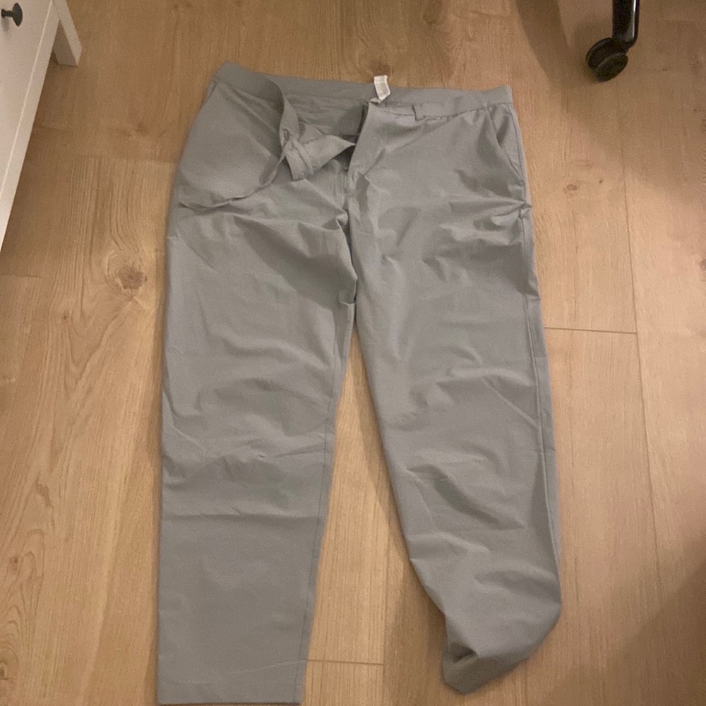 Fabletics pants